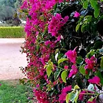 Quinta De Loubite By Sweethomes * Lagoa (Algarve)