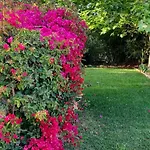 Quinta De Loubite By Sweethomes Lagoa (Algarve)