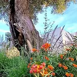 Quinta De Loubite By Sweethomes *