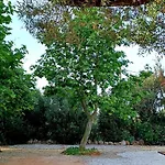Quinta De Loubite By Sweethomes