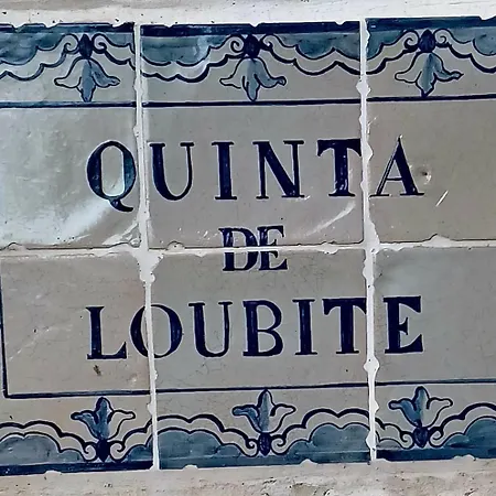 Gospodarstwo agroturystyczne Quinta De Loubite