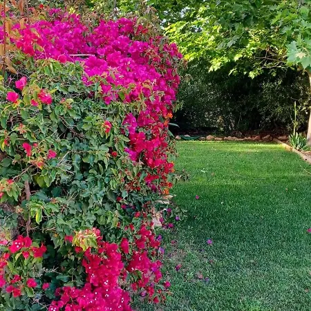 Quinta De Loubite Lagoa (Algarve)