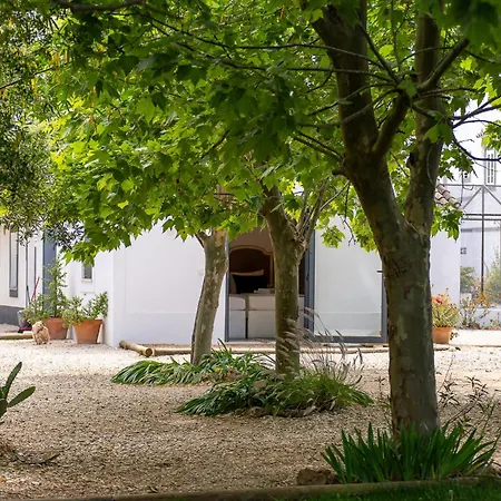 Quinta De Loubite By Sweethomes Фермерский дом