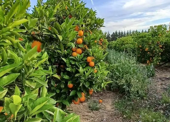 Quinta De Loubite By Sweethomes