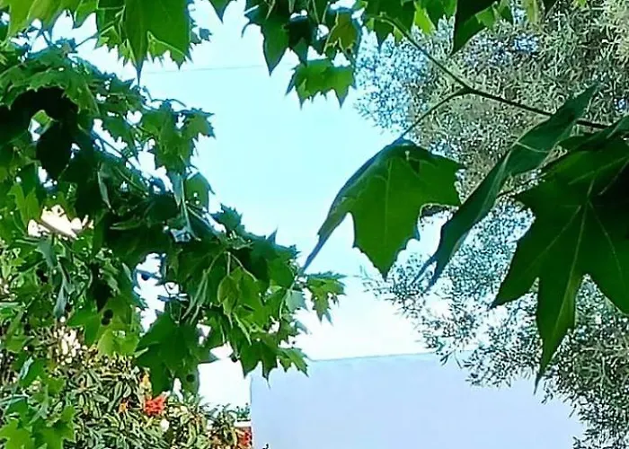 Çiftlik konaklama Quinta De Loubite By Sweethomes *