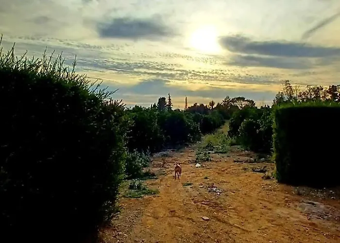 Quinta De Loubite By Sweethomes Çiftlik konaklama Lagoa (Algarve)