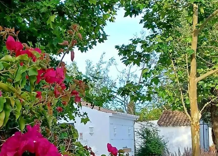 Çiftlik konaklama Quinta De Loubite By Sweethomes Lagoa (Algarve)