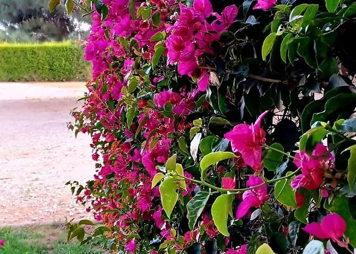 Quinta De Loubite By Sweethomes * 라고아
