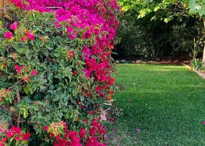 Quinta De Loubite By Sweethomes Lagoa (Algarve)