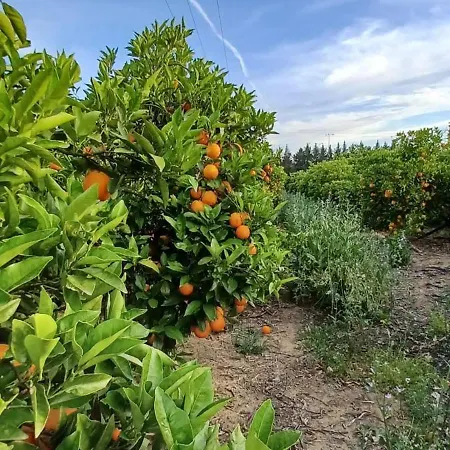 Quinta De Loubite