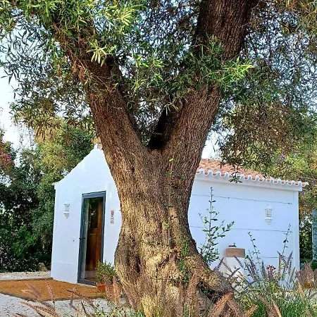 Quinta De Loubite * Lagoa (Algarve)