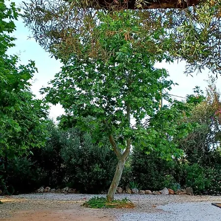 Quinta De Loubite By Sweethomes