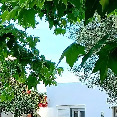 Farm stay Quinta De Loubite *