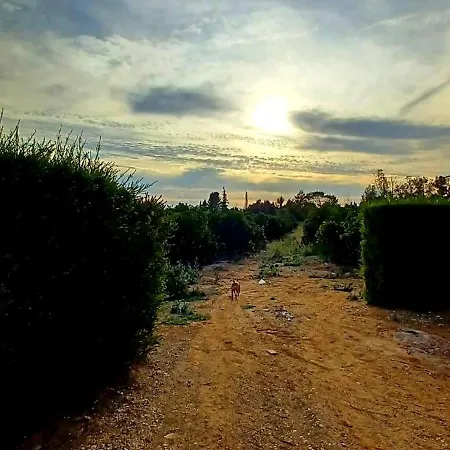 Quinta De Loubite Agroturismo Lagoa (Algarve)