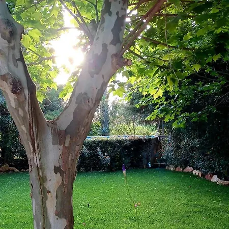 Quinta De Loubite Lagoa (Algarve)