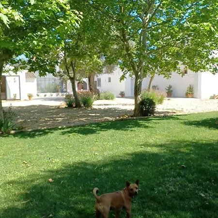 Farm stay Quinta De Loubite Lagoa (Algarve)