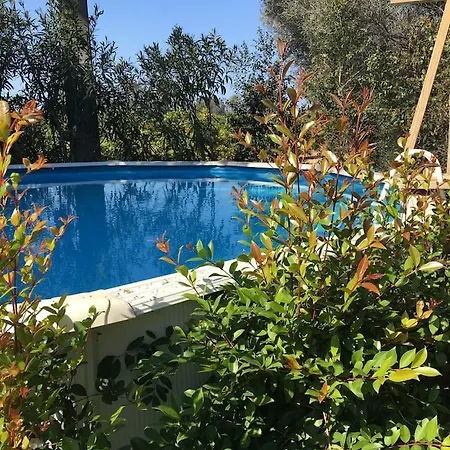 Farm stay Quinta De Loubite *