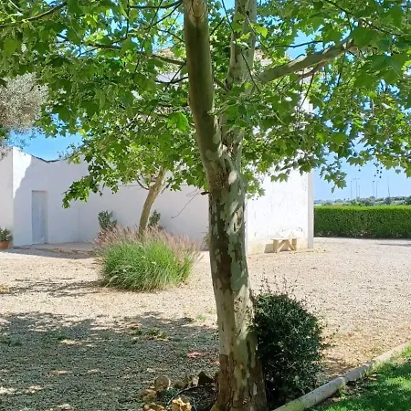 Quinta De Loubite Farm stay *